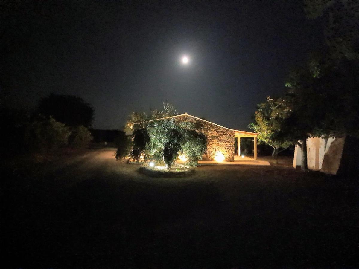 Casa Da Pedra-Quinta Dos Cedros-Tavira Villa Bagian luar foto